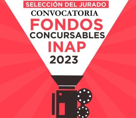 El INAP dio a conocer a los 15 proyectos seleccionados por el jurado en la Convocatoria «Fondos Concursables INAP 2023».